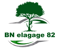 elagage-bn-elagage